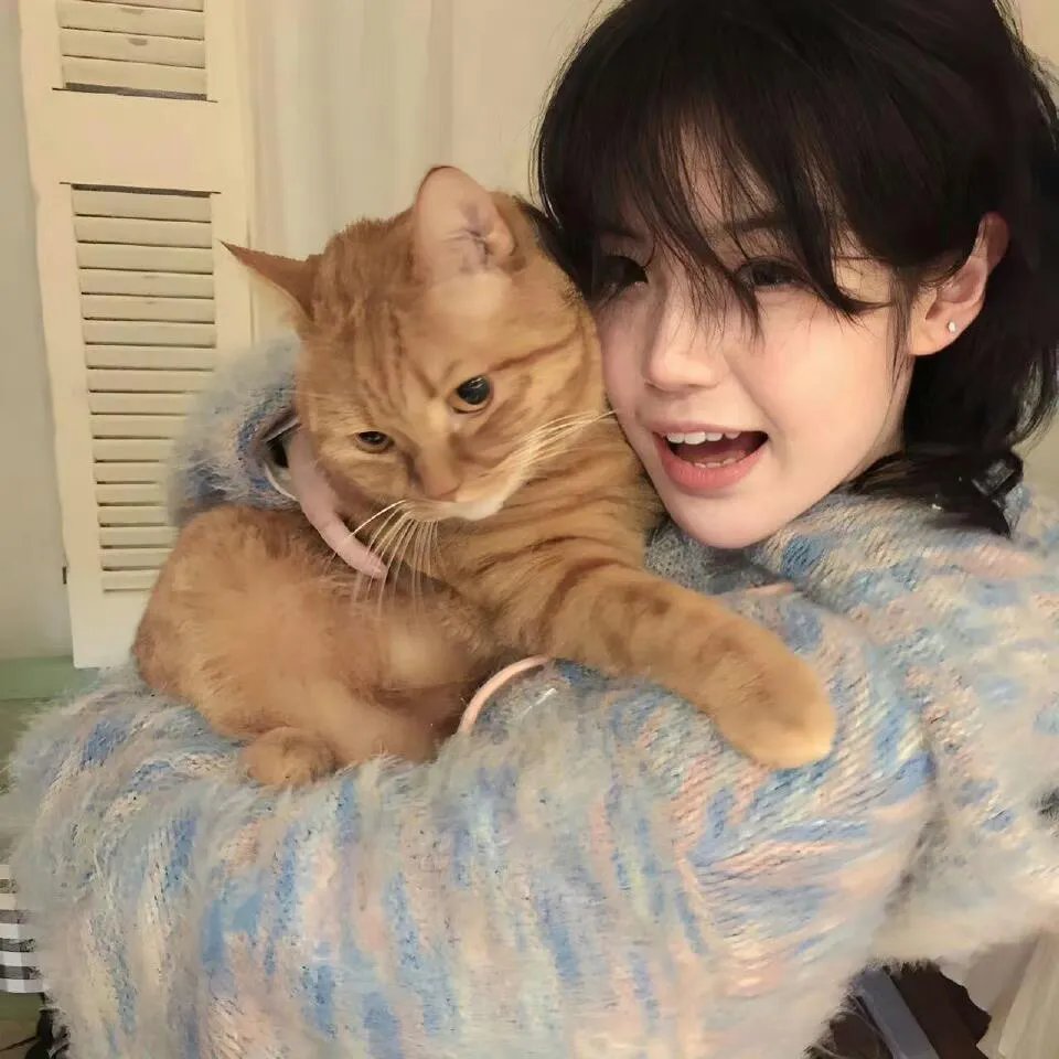 误嫁豪门我的闪婚攻略